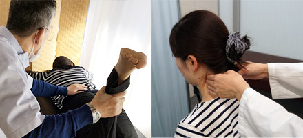 肩関節の可動域の確認、首の触診